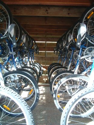 Mountain bikes