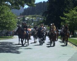 Cavalcade last day