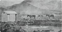 Hanmer Springs History