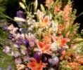 Florist Christchurch