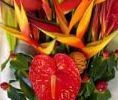 Christchurch Florist